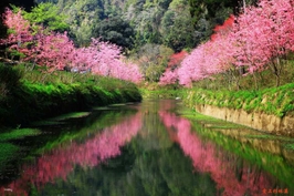 난터우 산린시 일일 투어 (타이중 출발) 2