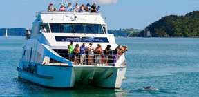 Bay of Islands Original Cream Cruise | New Zealand