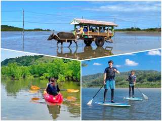 Iriomote Island: Mangrove SUP or Canoeing, Buffalo Cart Ride & Yubu Island Sightseeing with Uehara Area Hotel Transfers & Free Photos | Okinawa