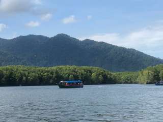 Langkawi UNESCO Global Geopark Mangrove Cruise