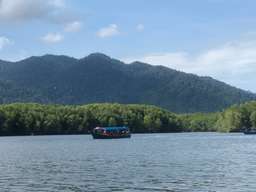 Langkawi UNESCO Global Geopark Mangrove Cruise