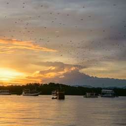 Labuan Bajo Sunset Tour - 1 Day, SGD 89