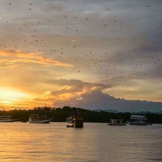 Labuan Bajo Sunset Tour - 1 Day