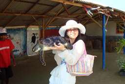  Glass Bottom boat + Mengunjungi Pulau Penyu by Bali Best Adventure, RM 33.30