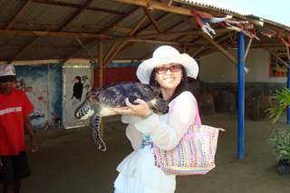Glass Bottom boat + Visiting Turtle Island by Bali Best Adventure, 164.337 VND