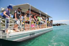 Tangalooma Marine Discovery Day Cruise | Brisbane