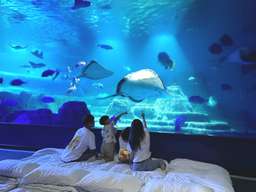 Farglory Ocean Park Hotel & Sleepless Night Ocean Experience | Hualien