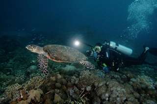 Menyelam 3 Titik di Pulau Bunaken Termasuk Makan Siang dan Antar Jemput Hotel, Rp 2.650.000