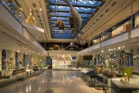 Natural History Museum of Los Angeles County