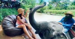 Day Tour from Bangkok to Pattaya & nong nooch & IG forest cafe , USD 51.44