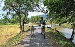Nature Cycling Experience with Transfers in Langkawi