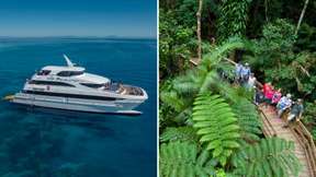 2 Day Combo: Great Barrier Reef and Daintree Rainforest Tour in Cairns