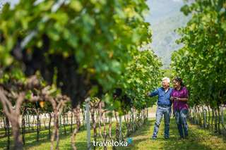 Bangkok to Khao Yai Private Tour with English Speaking Driver - 1 Day