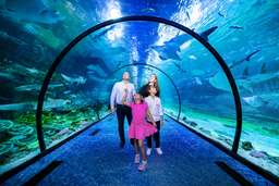 The National Aquarium Abu Dhabi Ticket, Rp 439.763