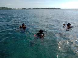 Lombok Fun Dive / DSD Dive