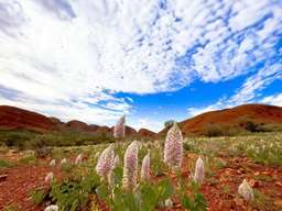 Kata Tjuta Sunrise & Valley of the Winds Walking Tour | Mandarin Tour