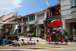 Penang City and Heritage Tour - 4 Hours, SGD 49
