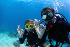 Scuba Diving Experience in Bodrum 