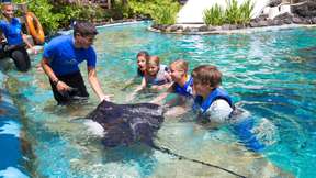 Hawaii Sea Life Park Ticket: Hawaiian Reef Encounter | Honolulu