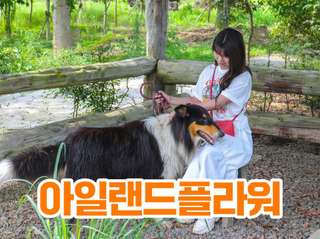 Jeju Island Flower Zoo: Admission Ticket | South Korea