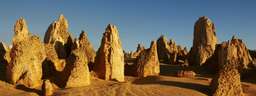 Pinnacles Guided Day Tour from Perth, USD 130.19