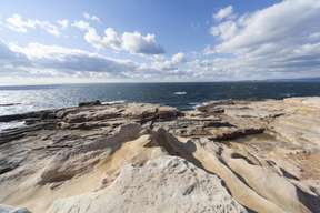 Wakayama Day Tour from Osaka: Shirasaki Ocean Park, Sandanbeki, Senjojiki, Shirahama Beach & Toretore Market with Seafood Pot Set Meal | Japan