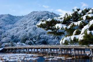 Kyoto Sagano Romantic Tour by Limon Bus - 1 Day