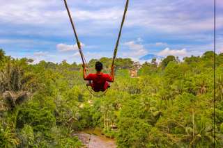 Bali Swing, Tegalalang Rice Terrace and Ubud Center Tour