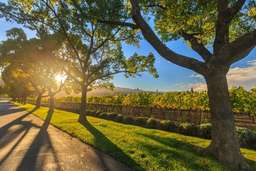 VIP Swan Valley Perth Wine Full Day Tour in Perth, Rp 2.358.384