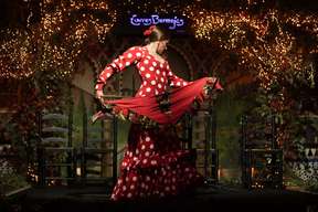 Flamenco Show at Tablao Torres Bermejas