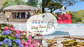 Tour ngắm hoa mùa xuân và mùa hè phía Đông Jeju | Hàn Quốc