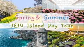 Jeju East Spring and Summer Flower Viewing Tour | South Korea