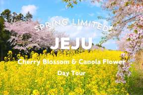 Jeju Island East & West Coast Day Tour | South Korea