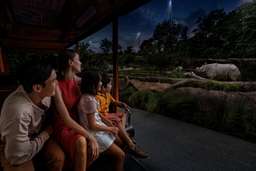 Singapore Night Safari Tickets, Rp 119.082