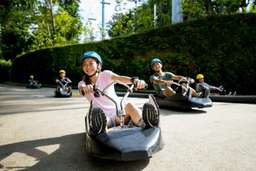 Skyline Luge Singapore, VND 657.580