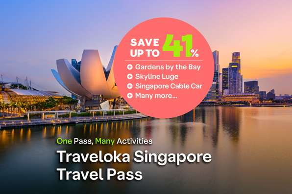 Singapore Travel Pass, USD 56.28