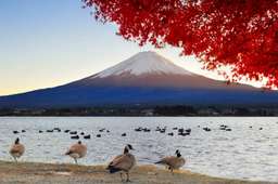 Mt.Fuji Day Tour from Tokyo with Chinese/English Service: Mt. Fuji 5th Station,  Oshino Hakkai & Lake Kawaguchi Matcha Experience or Gotemba Premium Outlets | Tokyo, Rp 904.138