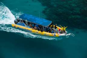 Great Barrier Reef Adventure Tour at Cape Tribulation