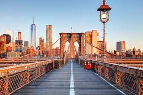 New York Day Tour to Brooklyn, The Bronx, Harlem & Queens with Coney Island | United States