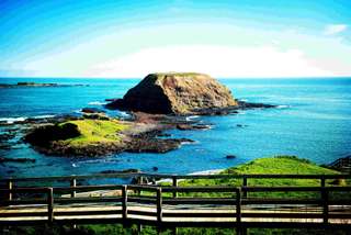 Melbourne: One-day tour of Penguin Parade Phillip Island + Centennial Farm + Koala Zoo