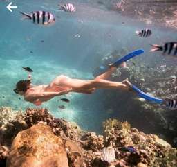 Waterfall Adventure and Snorkeling at Blue Lagoon, USD 46.16