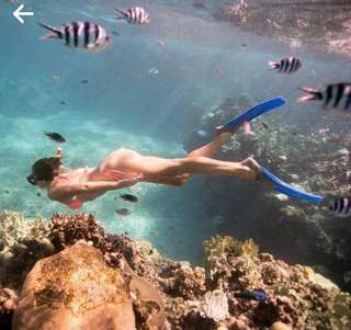 Waterfall Adventure and Snorkeling at Blue Lagoon, THB 1,907.86