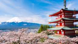 Mount Fuji Panoramic View and Shopping - Tur 1 Hari, Rp 670.516