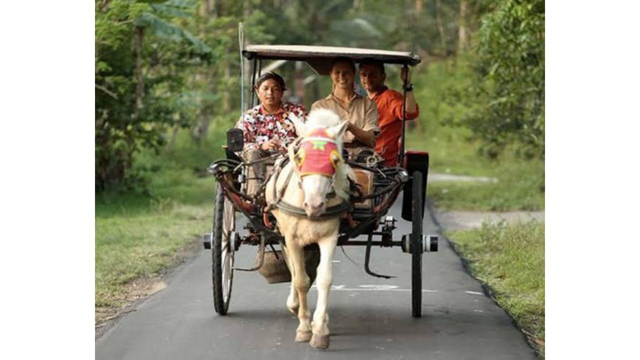 Borobudur Dokar Tour Package By Sheyco Tour