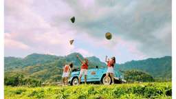 BOROBUDUR VW, USD 8.53
