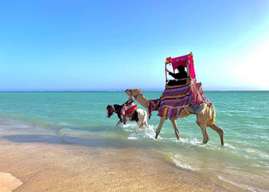 Obhur & Beach Fully Day Tour from Jeddah