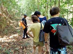 Langkawi Rainforest Walking