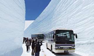 Japan・Osaka/Nagoya 2-Day Bus Tour｜Tateyama Kurobe Snow Wall, Shirakawa-go, Hida Takayama｜Depart from Osaka・Nagoya City