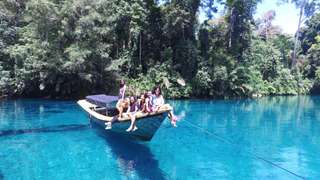 Private Tour Derawan Whale Shark Labuan Cermin - 5D4N, 451,987원