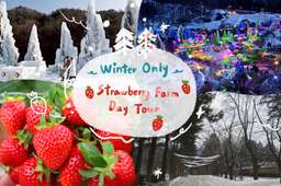 Strawberry Picking & Jam Making Tour with Nami Island & Railbike by S. A. Tour, THB 2,444.62